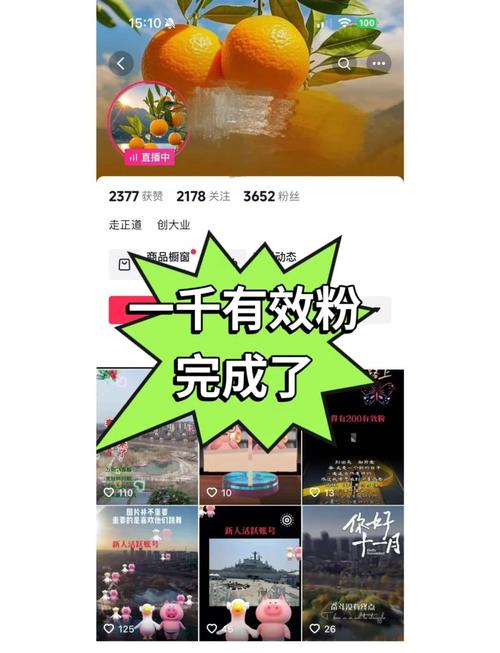 如何快速涨粉？抖音爆款密码是什么？-图2