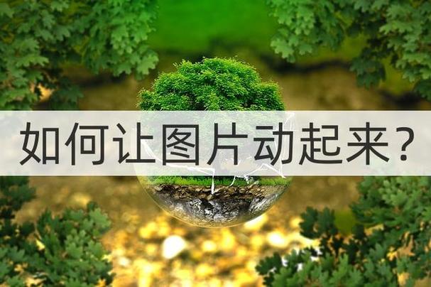 FrontPage如何让图片动起来？-图2