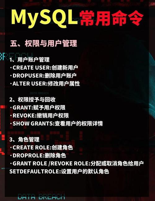 MySQL常用命令有哪些?-图2 MySQL常用命令有哪些?-图2