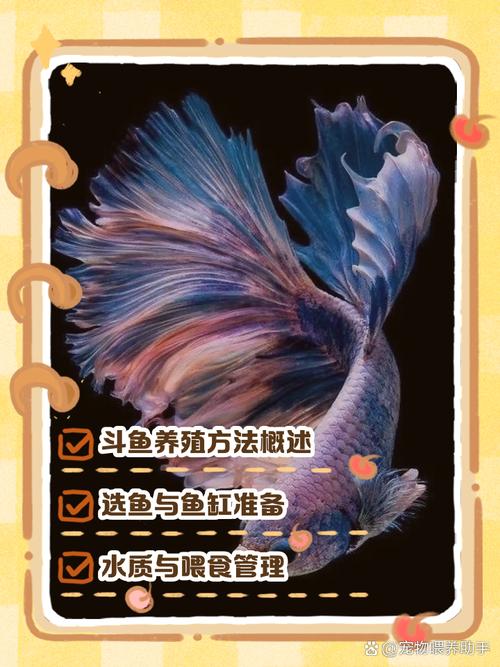 斗鱼招聘有何新动向或岗位需求?-图2 斗鱼招聘有何新动向或岗位需求?-图2