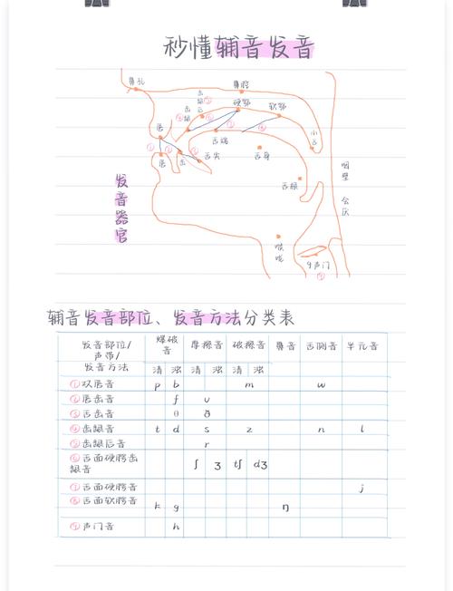 12个清辅音怎么记？-图3