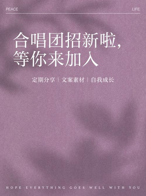 合音量招聘,岗位要求与薪资待遇如何?-图1 合音量招聘,岗位要求与薪资待遇如何?-图1