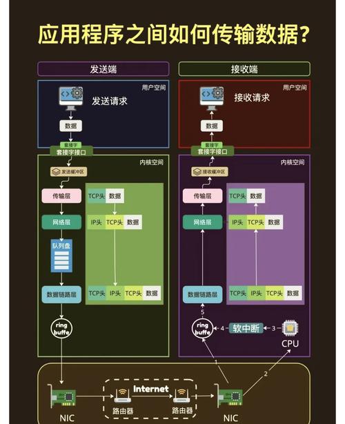 服务器与网站究竟如何协同工作？-图1