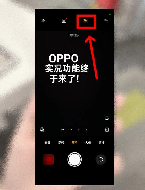 手机怎么查看百度快照？-图2
