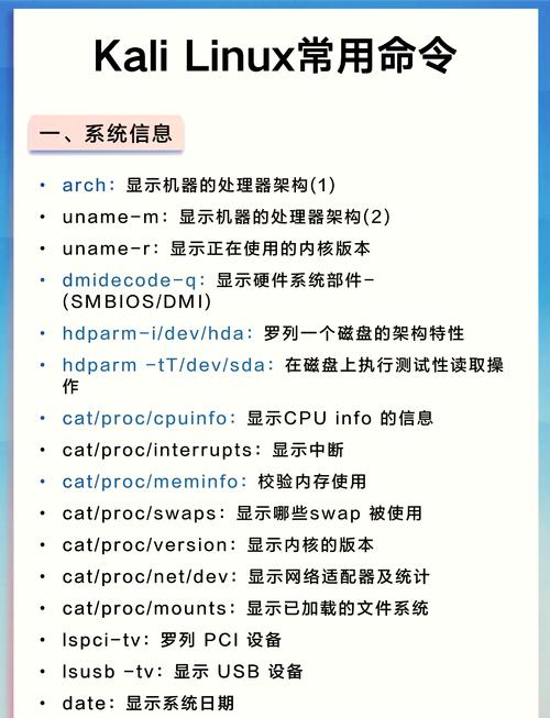 Kali Linux常用命令有哪些?-图1 Kali Linux常用命令有哪些?-图1