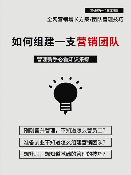 网络营销团队建设,关键在哪?-图1 网络营销团队建设,关键在哪?-图1