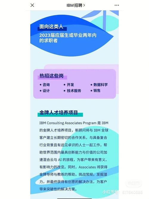 IBM招聘机场相关岗位，具体是做什么的？-图1