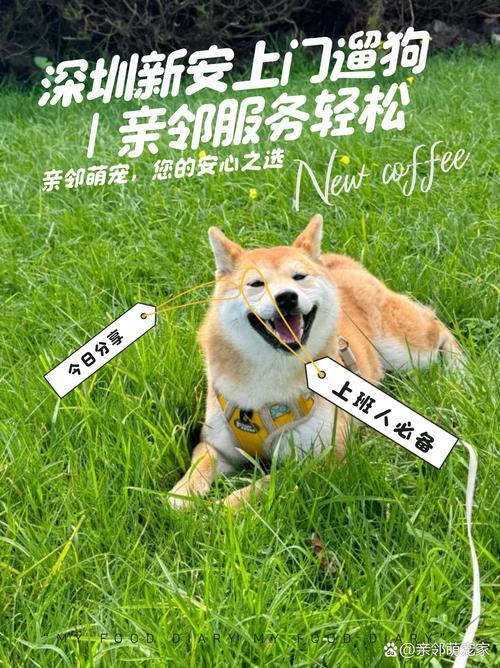 狗狗专车招聘,啥要求?待遇咋样?-图3 狗狗专车招聘,啥要求?待遇咋样?-图3