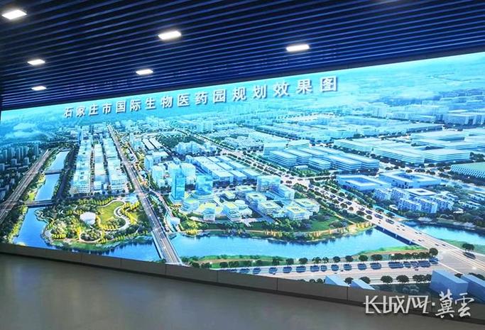 石家庄如何优化搜索引擎？-图3