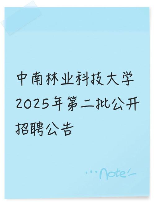 CSDN学院招聘，具体岗位和要求是什么？-图2