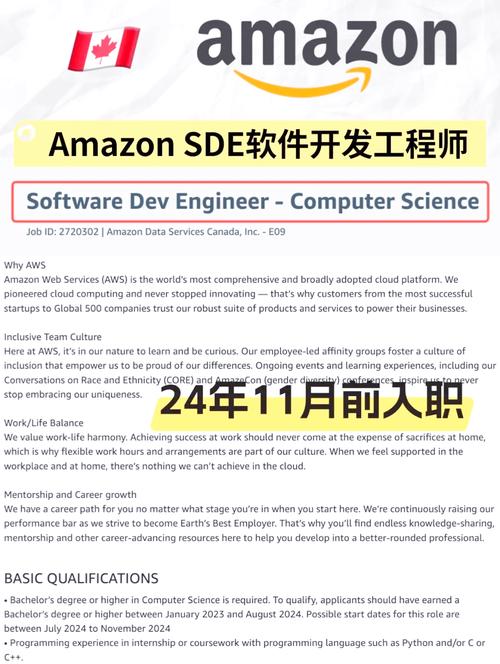 亚马逊招investigator，查什么？-图1