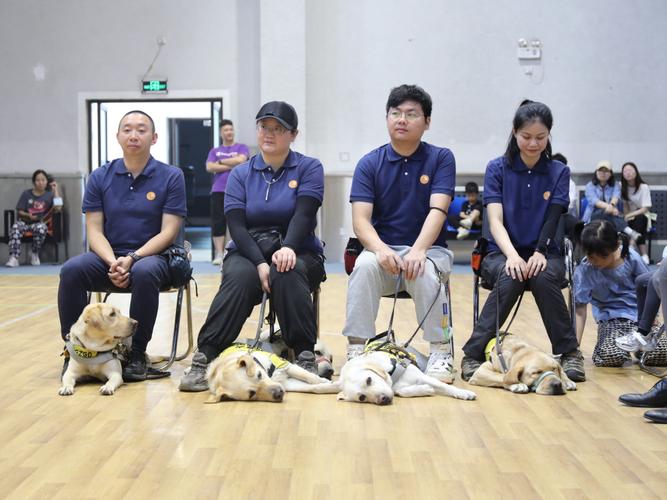 导盲犬培训招聘，需要什么条件？-图2