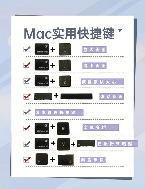Mac执行命令的快捷方式是什么？-图1