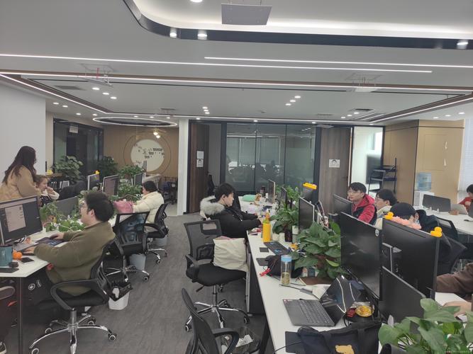 竹子建站招聘什么岗位？要求如何？-图1