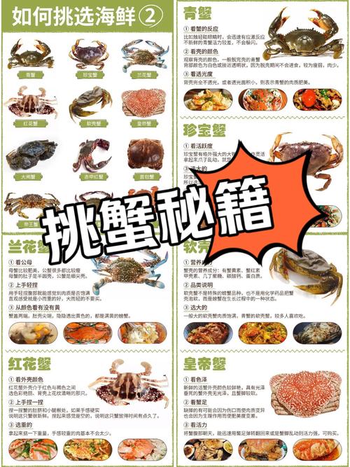 斗蟹招聘靠谱吗？急招什么岗位？-图2