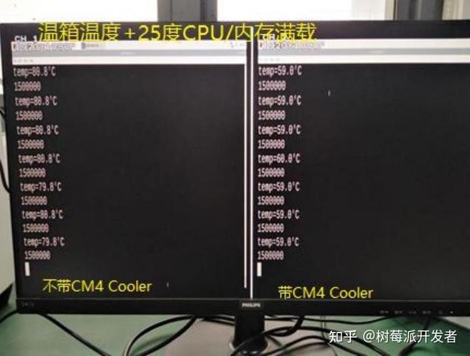 树莓派温度命令怎么查?-图1 树莓派温度命令怎么查?-图1