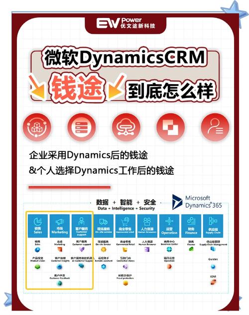微软Dynamic招聘有何新动向？-图2