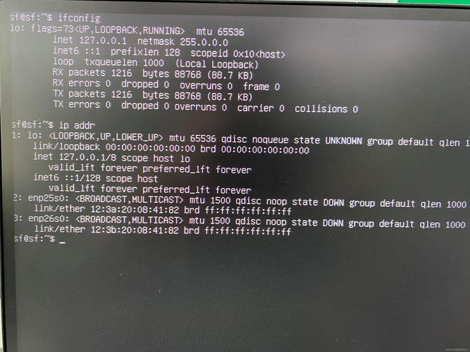 Linux ls命令为何找不到？-图1