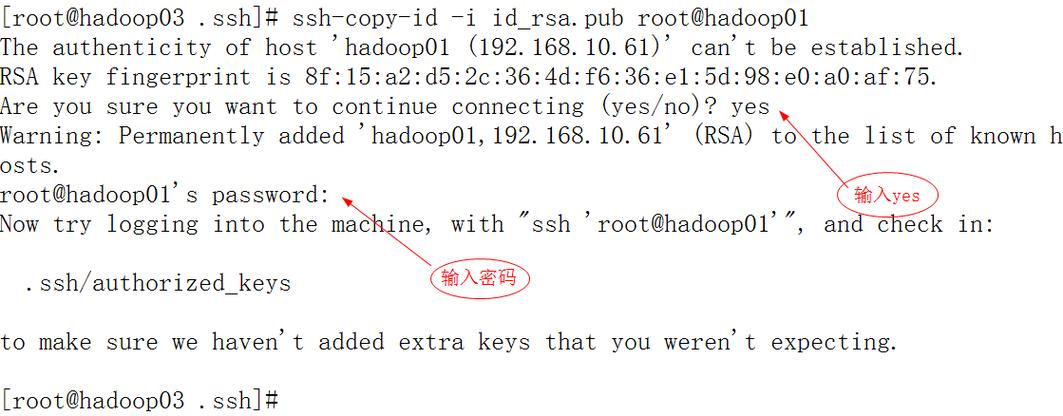 Linux系统如何打开命令窗口？-图3