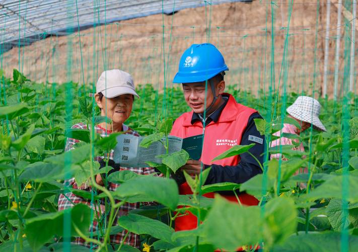 农村互联网建设,如何破解落地难题?-图3 农村互联网建设,如何破解落地难题?-图3