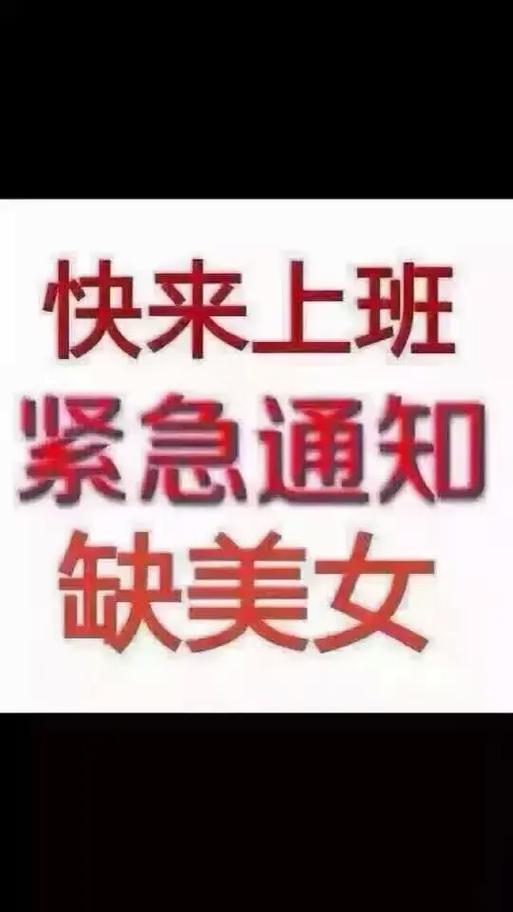 叮当派招聘,寻找怎样的你?-图1 叮当派招聘,寻找怎样的你?-图1