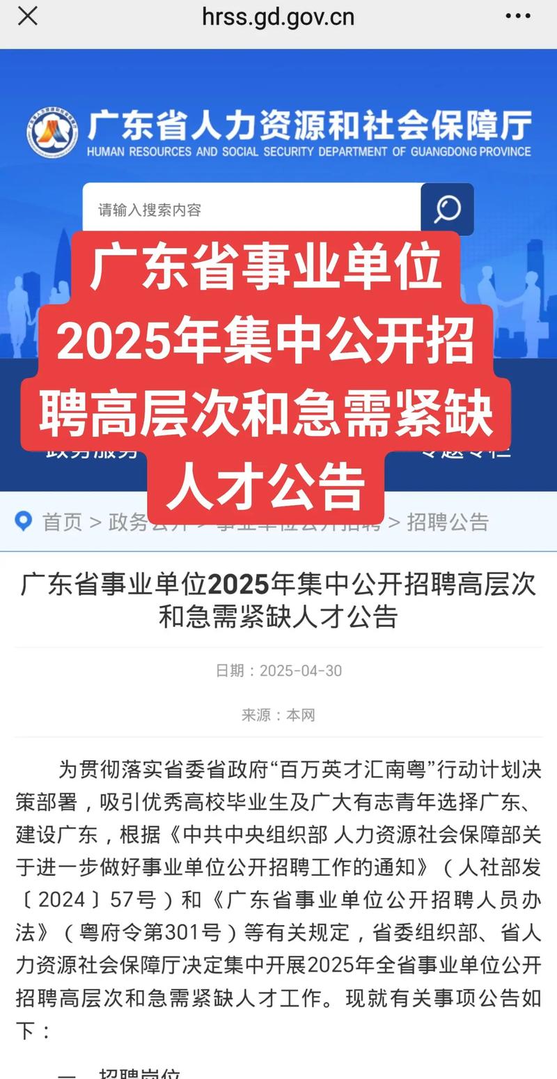 广州CMD招聘有何具体岗位要求？-图3