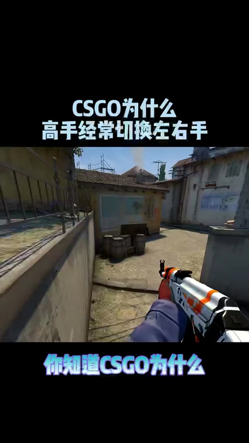 CSGO左右手命令怎么调?-图2 CSGO左右手命令怎么调?-图2