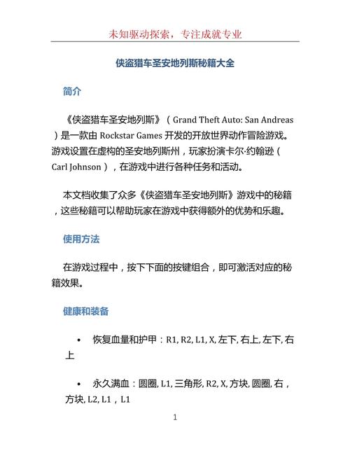 侠盗飞车命令怎么输入？-图2