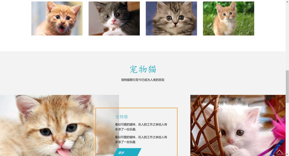 网页制作如何插入猫链接?-图3 网页制作如何插入猫链接?-图3