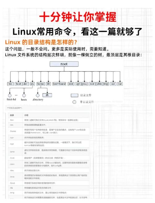 Linux get命令用法有哪些核心功能?-图1 Linux get命令用法有哪些核心功能?-图1