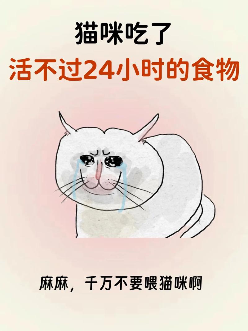 猫条英语怎么说?-图3 猫条英语怎么说?-图3