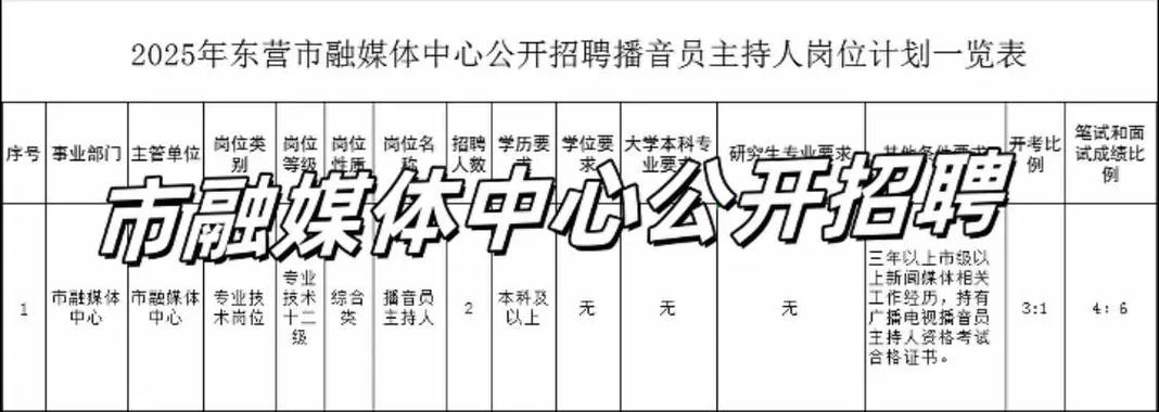 美国招聘播音,有何具体要求与流程?-图2 美国招聘播音,有何具体要求与流程?-图2