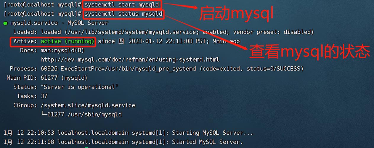 命令窗口如何登录mysql?-图1 命令窗口如何登录mysql?-图1