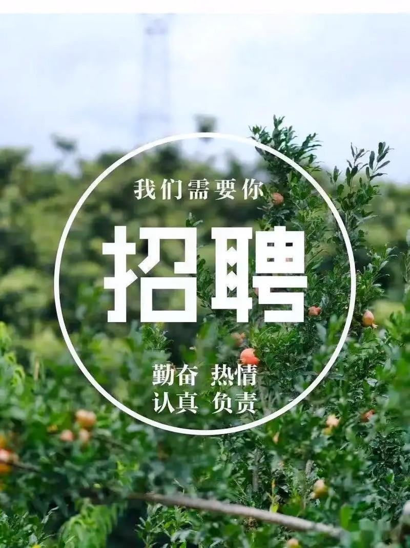 天机淘招聘,具体岗位和要求是什么?-图2 天机淘招聘,具体岗位和要求是什么?-图2