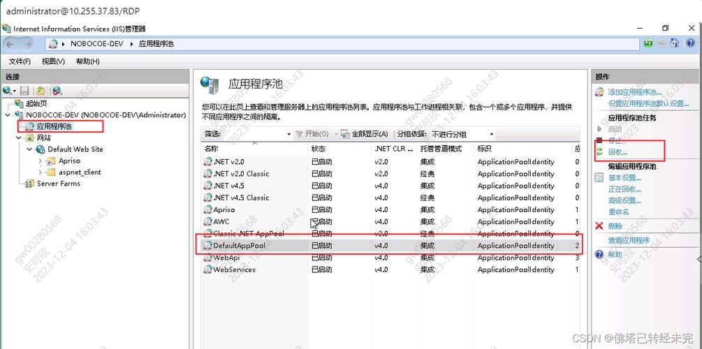 如何新建应用程序池？步骤是什么？-图2