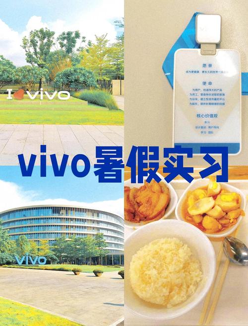 vivo印度招聘有何新动向?-图3 vivo印度招聘有何新动向?-图3