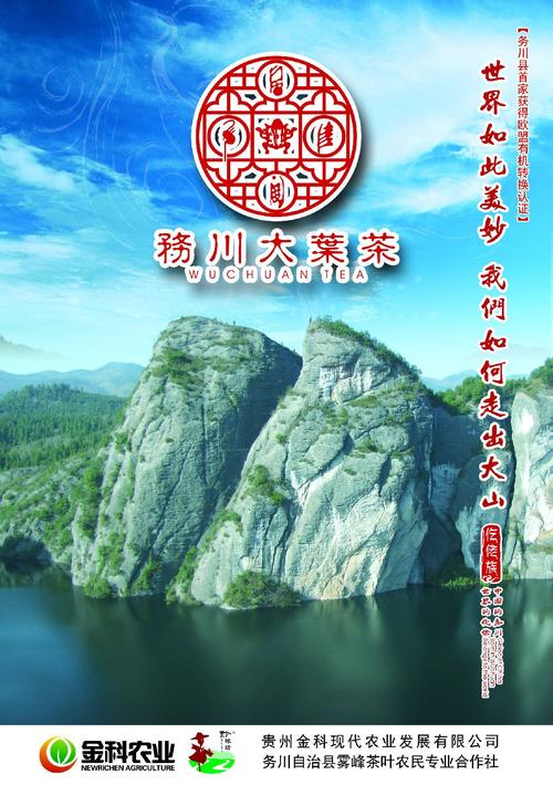 树儿茶招聘什么岗位?要求多少薪资?-图2 树儿茶招聘什么岗位?要求多少薪资?-图2