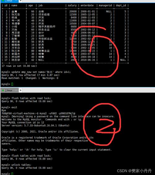 MySQL锁库命令有哪些?如何正确使用?-图3 MySQL锁库命令有哪些?如何正确使用?-图3
