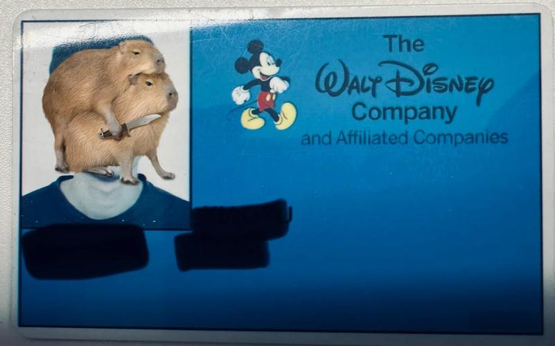 Disney English招聘,薪资待遇如何?-图3 Disney English招聘,薪资待遇如何?-图3