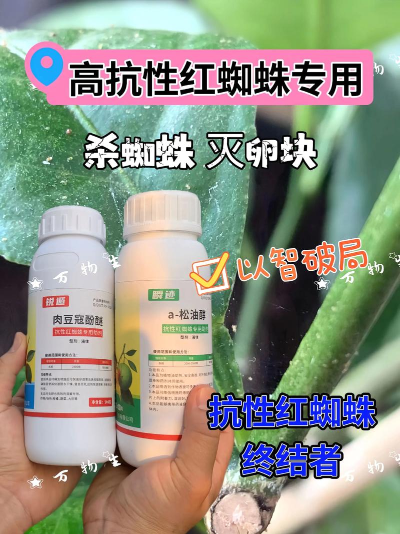 如何有效避免蜘蛛陷阱?-图1 如何有效避免蜘蛛陷阱?-图1
