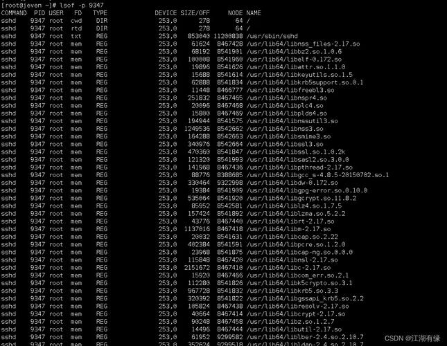 lsof命令如何高效排查Linux进程与文件问题?-图1 lsof命令如何高效排查Linux进程与文件问题?-图1