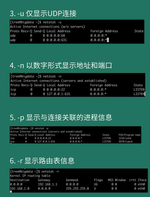 网络监测命令有哪些?如何快速掌握使用?-图2 网络监测命令有哪些?如何快速掌握使用?-图2