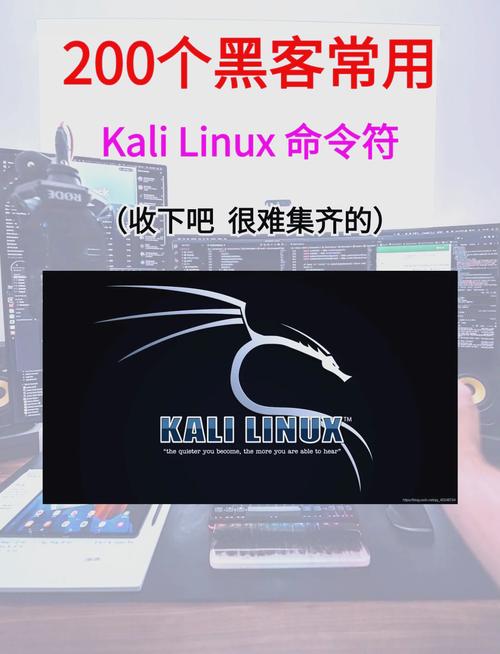kali cd命令怎么用?-图3 kali cd命令怎么用?-图3