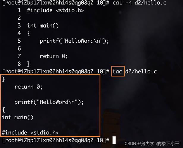 Linux cp命令如何高效复制文件?-图1 Linux cp命令如何高效复制文件?-图1
