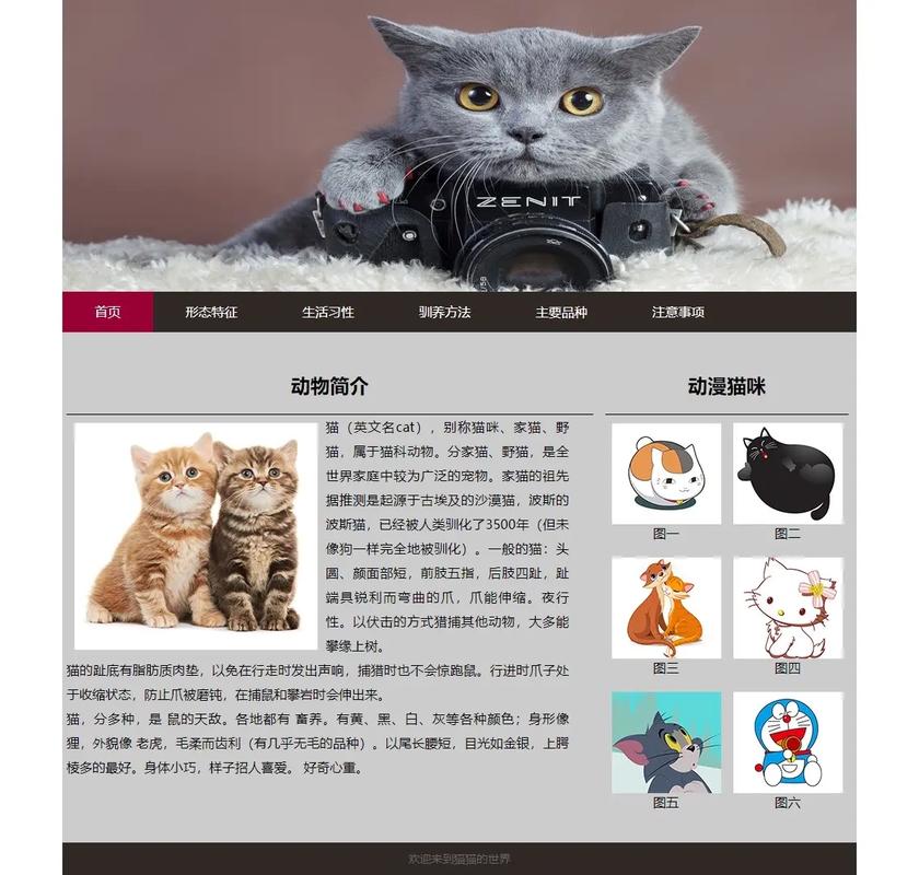 网站主题介绍,如何一句话说清核心价值?-图2 网站主题介绍,如何一句话说清核心价值?-图2