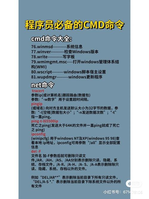 CCNA命令大全有哪些必备命令?-图2 CCNA命令大全有哪些必备命令?-图2