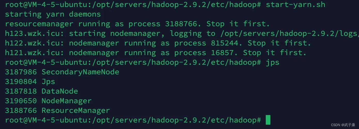 Hadoop YARN常用命令有哪些？-图2
