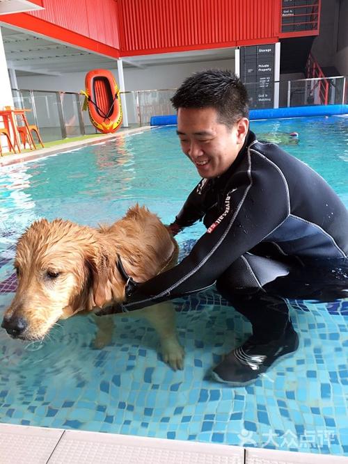the bark招聘什么岗位？-图2
