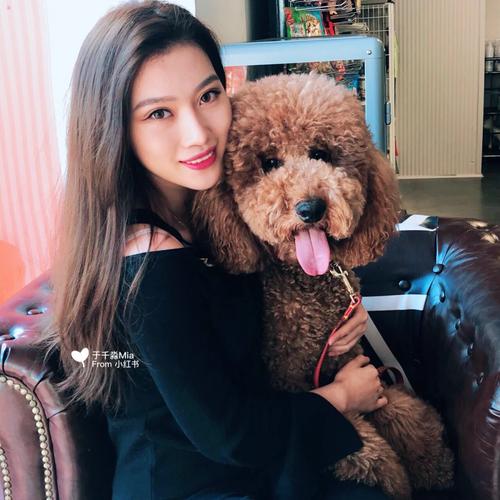 the bark招聘什么岗位？-图3